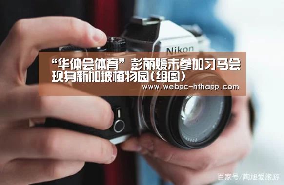 华体会体育