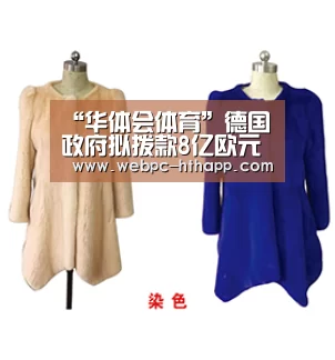 “华体会体育”德国政府拟拨款8亿欧元应对森林危机